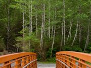 Accessible Adventures: The Ultimate Guide to Disability-Friendly Travel Destinations