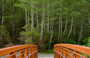 Accessible Adventures: The Ultimate Guide to Disability-Friendly Travel Destinations