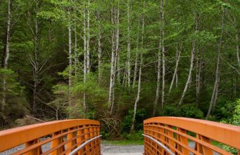 Accessible Adventures: The Ultimate Guide to Disability-Friendly Travel Destinations