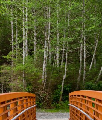 Accessible Adventures: The Ultimate Guide to Disability-Friendly Travel Destinations