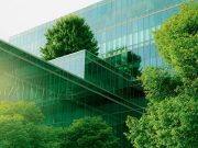 Beyond the Postcard: Your Ultimate Guide to Sustainable & Eco-Friendly Travel Sustainable Travel