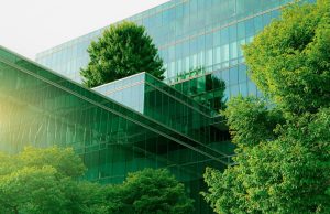 Beyond the Postcard: Your Ultimate Guide to Sustainable & Eco-Friendly Travel Sustainable Travel