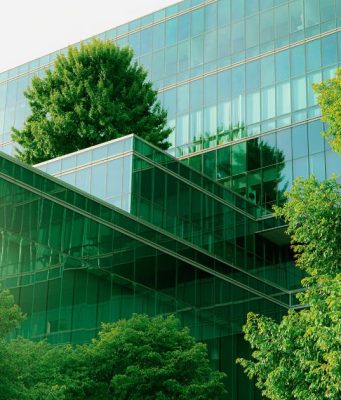 Beyond the Postcard: Your Ultimate Guide to Sustainable & Eco-Friendly Travel Sustainable Travel