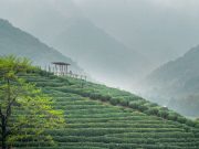 The Ultimate Guide to Wellness Travel: Mindful Journeys for Body, Mind, and Soul