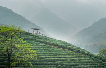 The Ultimate Guide to Wellness Travel: Mindful Journeys for Body, Mind, and Soul