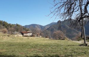 Trailblazing Travels: Your Comprehensive Guide to Offbeat Adventure Escapes Offbeat Adventure Escapes