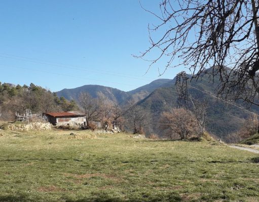 Trailblazing Travels: Your Comprehensive Guide to Offbeat Adventure Escapes Offbeat Adventure Escapes