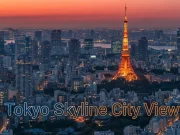 Tokyo Japan Travel Guide: Budget-Friendly Tips for an Amazing Trip Tokyo Japan Travel Guide