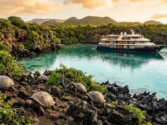 Wildlife Adventure Cruises: The Ultimate Guide to Nature and Expedition Travel Wildlife Adventure Cruises The Ultimate Guide to Nature and Expedition Travel