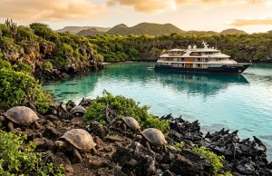 Wildlife Adventure Cruises: The Ultimate Guide to Nature and Expedition Travel Wildlife Adventure Cruises The Ultimate Guide to Nature and Expedition Travel