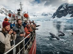 Adventure Cruises for Wildlife Travelers: Explore Nature’s Most Incredible Destinations Adventure Cruises for Wildlife Traveler Explore Nature's Most Incredible Destinations